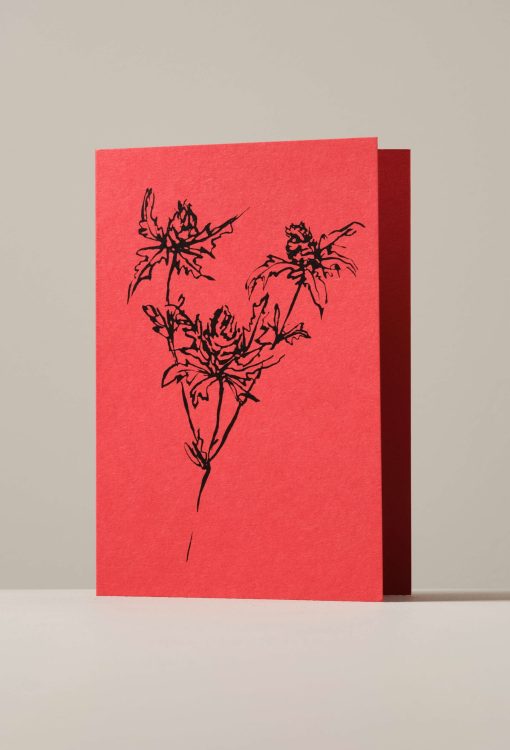 Red Thistle Botanical Greeting Card, Made in England by artist Lucy Augé