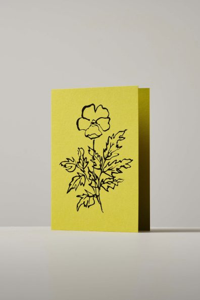 Silver Weed Botanical Greeting Card, Handmade, Made in England by artist Lucy Augé.