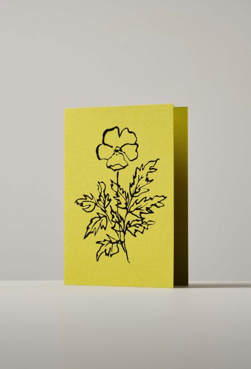 Silver Weed Botanical Greeting Card, Handmade, Made in England by artist Lucy Augé.